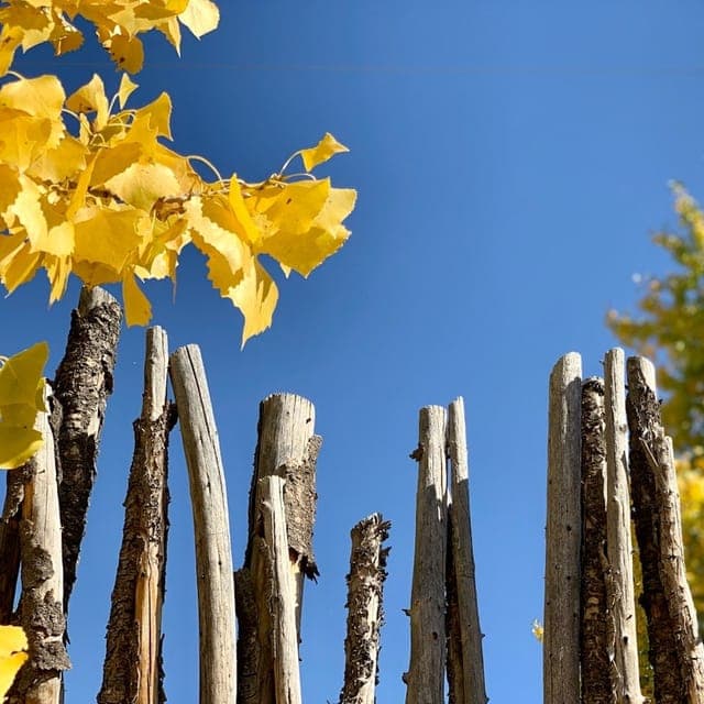 Los Ranchos De Albuquerque